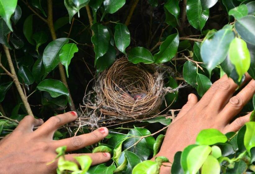 Staymaker Sunny S Serenity Resort