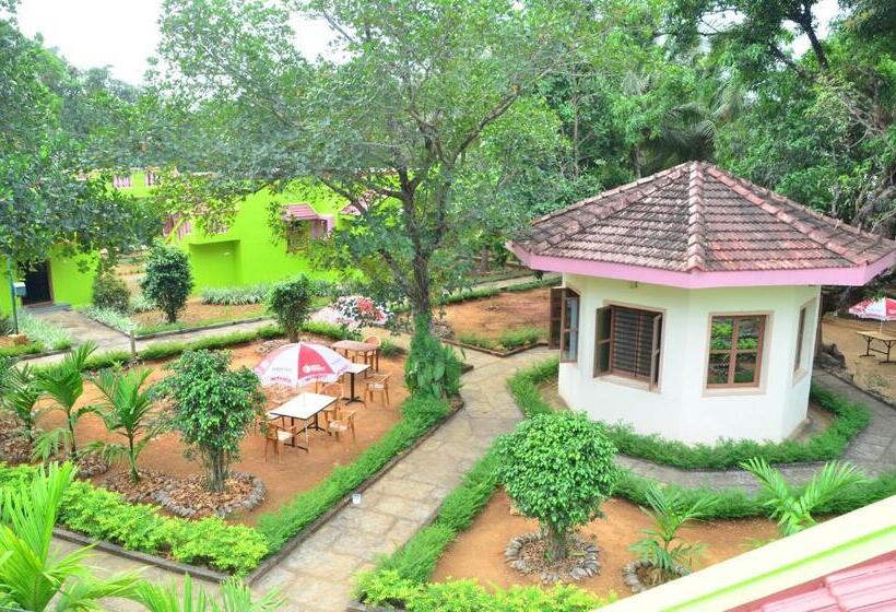 Staymaker Sunny S Serenity Resort