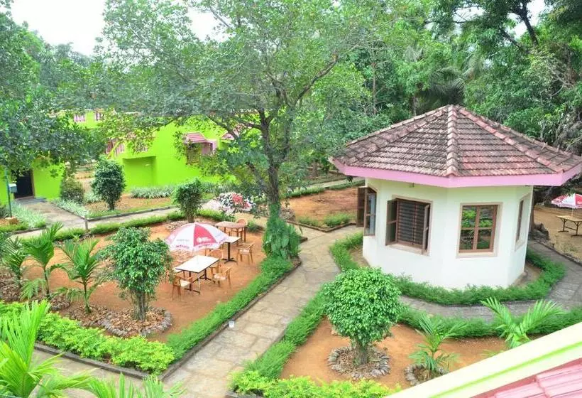 Staymaker Sunny S Serenity Resort