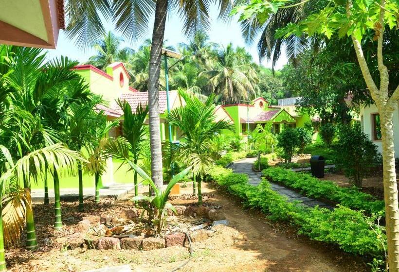 Staymaker Sunny S Serenity Resort