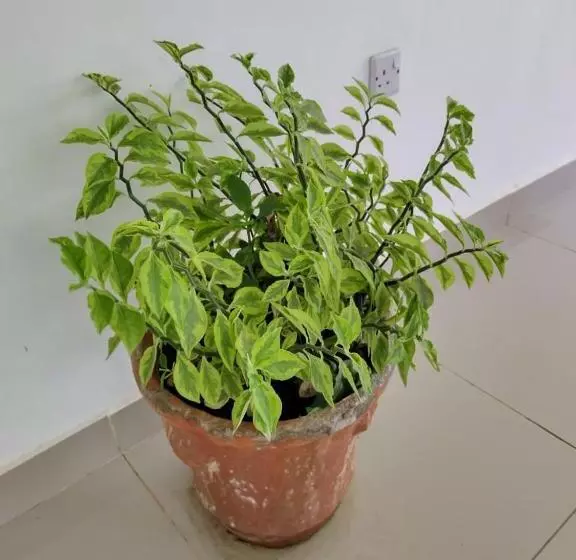 تختخواب و صبحانه 6 Park Retreat