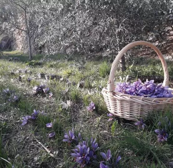 ホテル Agriturismo L Arco