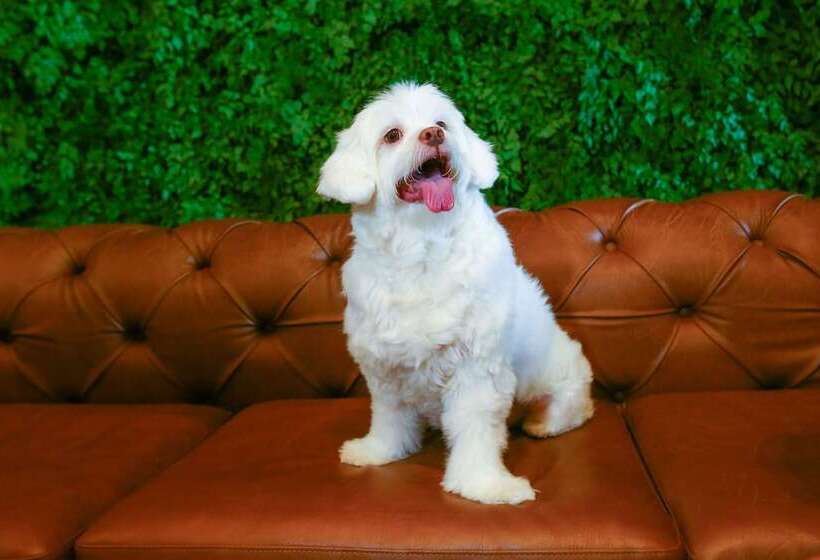 هتل Hilton Garden Inn Rebouças