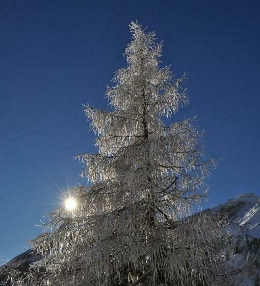 ホテル Tauernpasshöhe