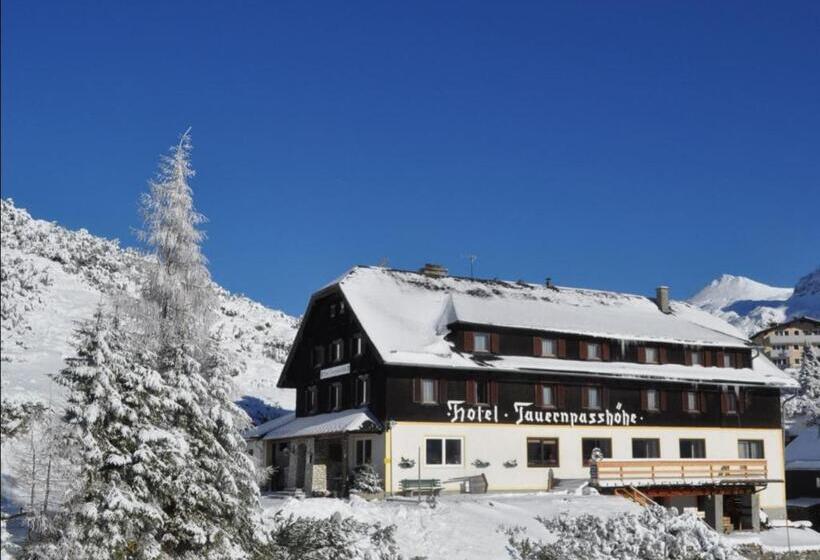 ホテル Tauernpasshöhe