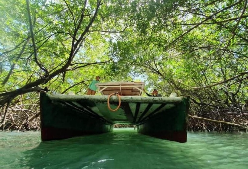 ペンション Vila Samin Moitas