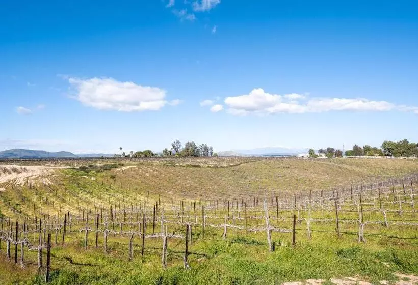 Aamiaismajoitus (B&B) Domaine Chardonnay