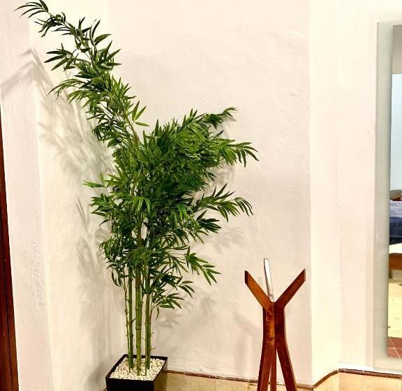 Kuxtal Hotel Boutique