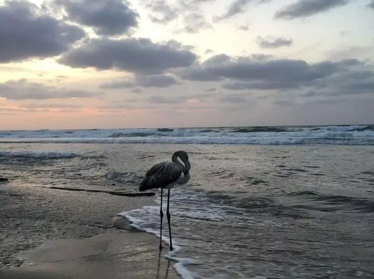 Bed and Breakfast Bed Sandalia