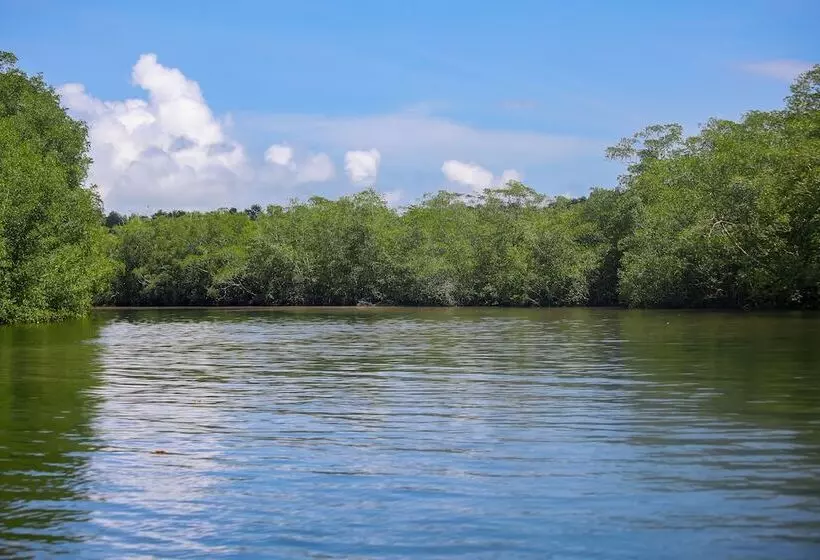 فندق Aguila De Osa Rainforest & Marine Adventure Lodge