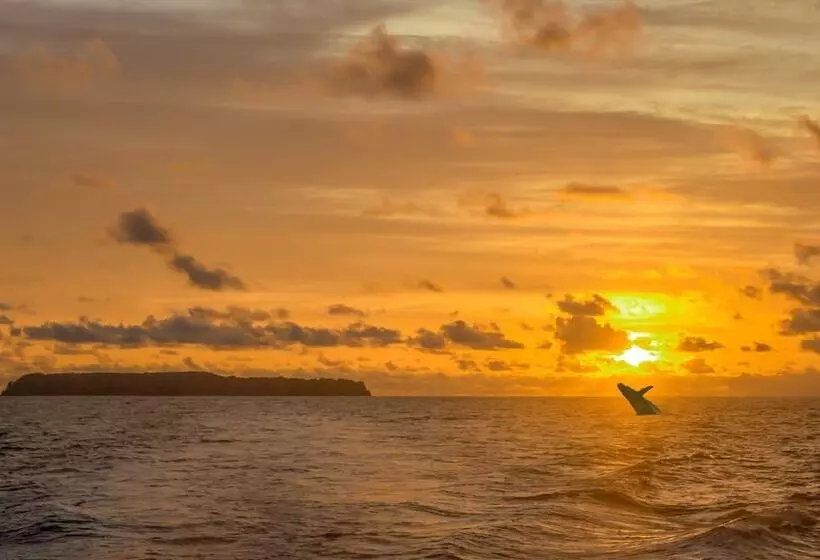 فندق Aguila De Osa Rainforest & Marine Adventure Lodge