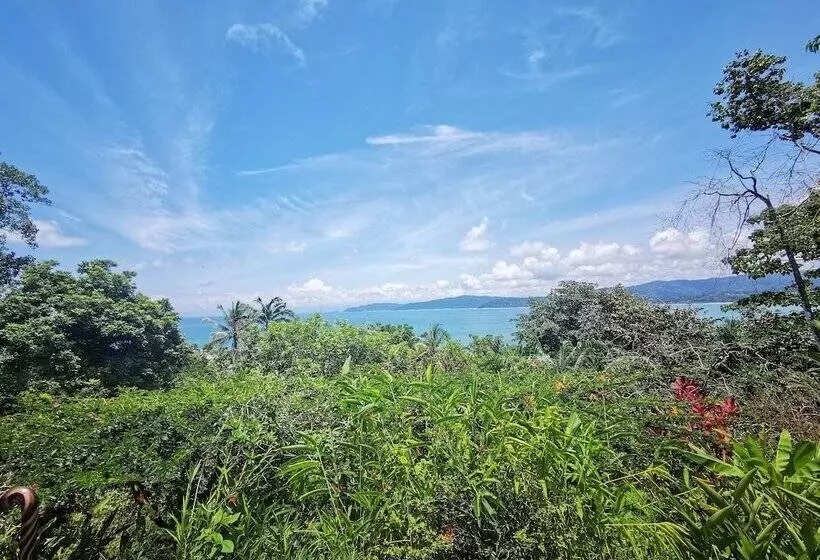 فندق Aguila De Osa Rainforest & Marine Adventure Lodge