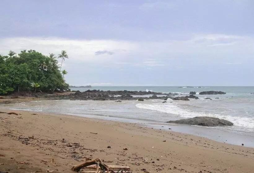 فندق Aguila De Osa Rainforest & Marine Adventure Lodge