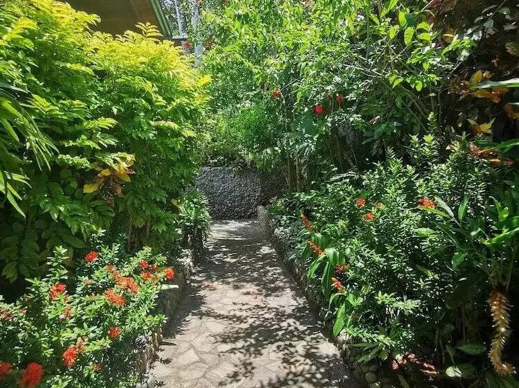 فندق Aguila De Osa Rainforest & Marine Adventure Lodge