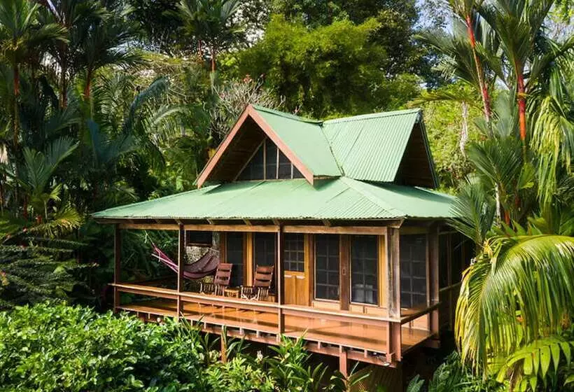 فندق Aguila De Osa Rainforest & Marine Adventure Lodge