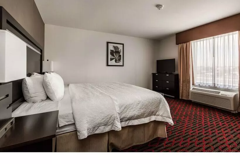 酒店 Hampton Inn & Suites By Hilton Lethbridge