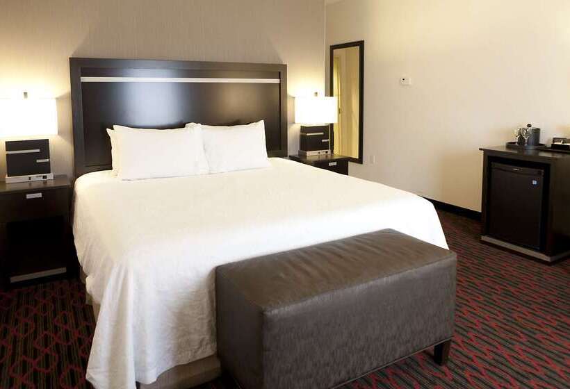 هتل Hampton Inn & Suites By Hilton Lethbridge