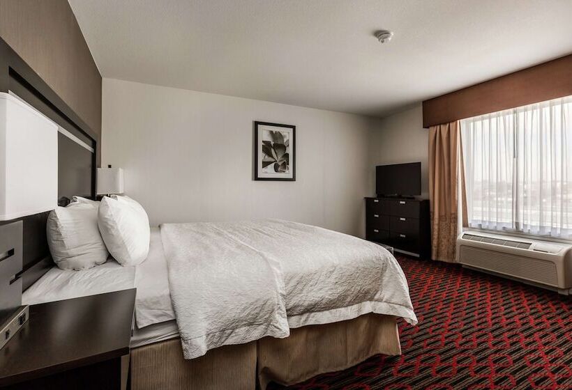 هتل Hampton Inn & Suites By Hilton Lethbridge