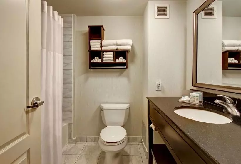 هتل Hampton Inn By Hilton Toronto Airport Corporate Centre
