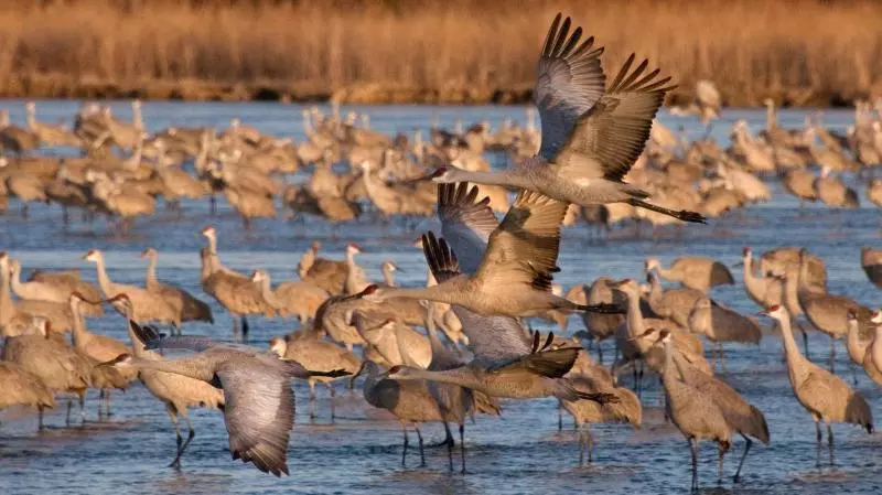 酒店 Holiday Inn Express Kearney, An Ihg