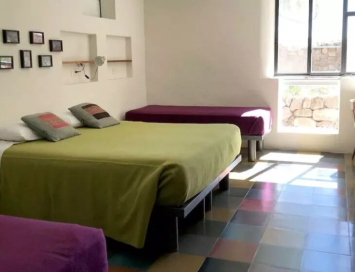 Отель Patio Alto