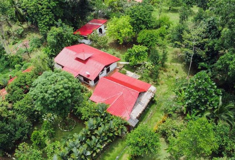 هاستل Casa Blossom Beach Paradise Retreat, Fully Equipped, Holiday Home