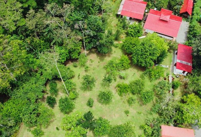 هاستل Casa Blossom Beach Paradise Retreat, Fully Equipped, Holiday Home