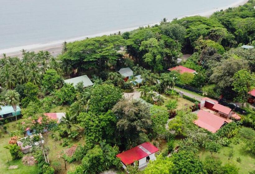 هاستل Casa Blossom Beach Paradise Retreat, Fully Equipped, Holiday Home