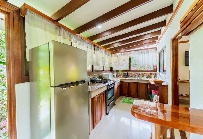 هاستل Casa Blossom Beach Paradise Retreat, Fully Equipped, Holiday Home