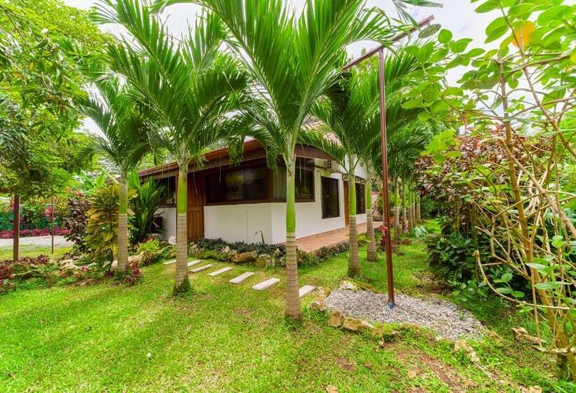 هاستل Casa Blossom Beach Paradise Retreat, Fully Equipped, Holiday Home