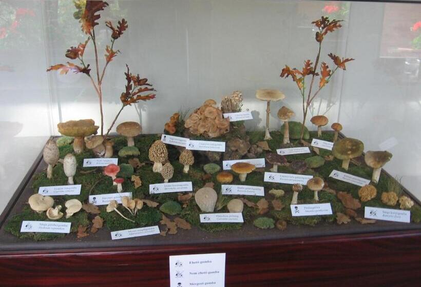 ベッドアンドブレックファースト Apát Panzió és étterem