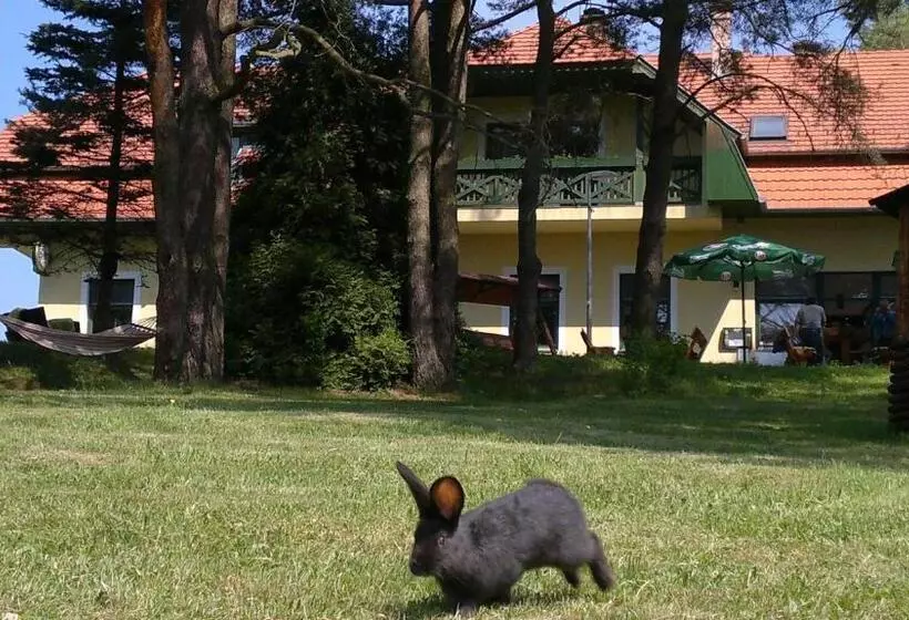 Aamiaismajoitus (B&B) Apát Panzió és étterem