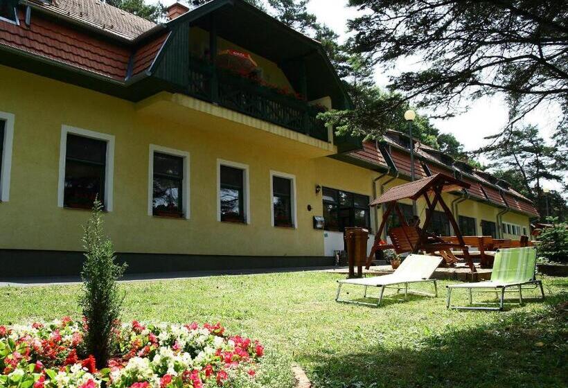 ベッドアンドブレックファースト Apát Panzió és étterem