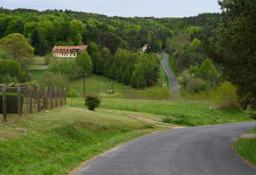 ベッドアンドブレックファースト Apát Panzió és étterem