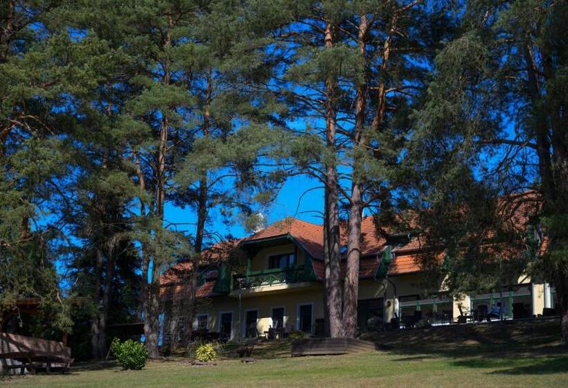 ベッドアンドブレックファースト Apát Panzió és étterem