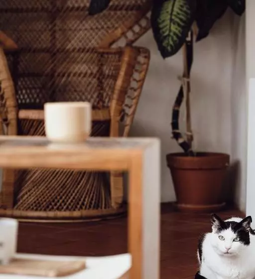 تختخواب و صبحانه Layer Residences