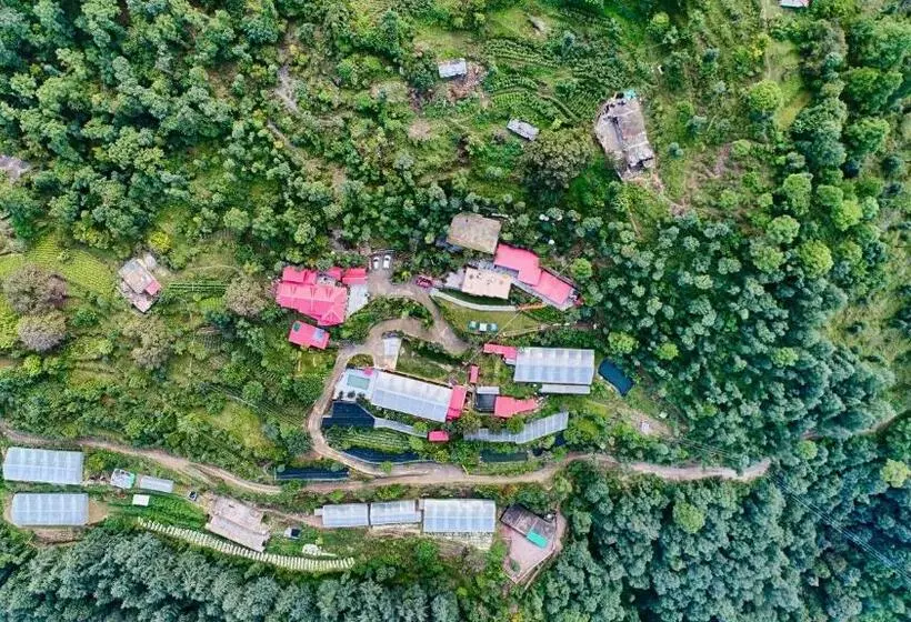 ホテル Sherpa Eco Resort