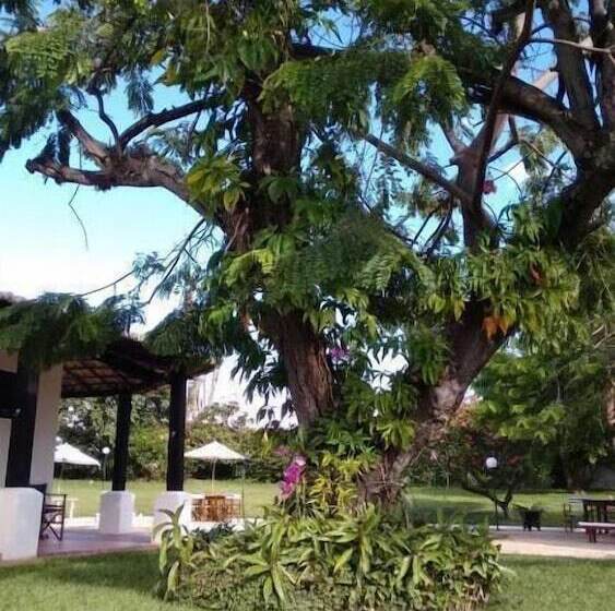 ペンション Pousada Rio De Contas