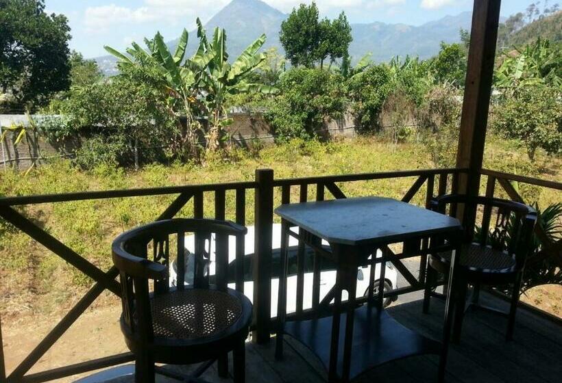 Пансион Rumah Kayu Sumberrejo