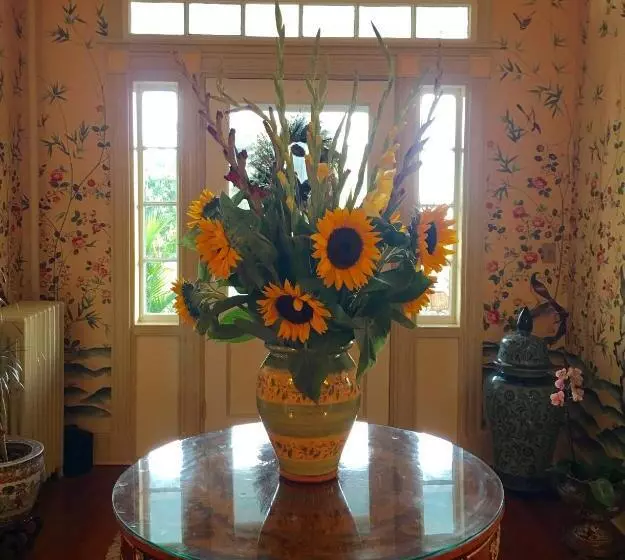 Renwick Clifton House B&b