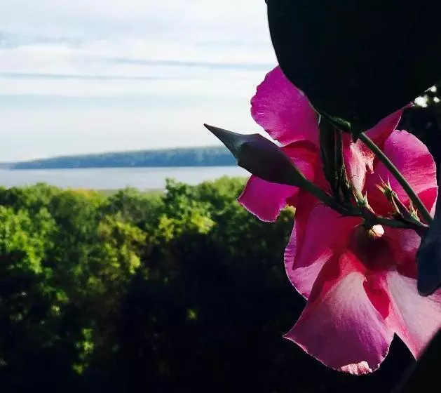 Renwick Clifton House B&b