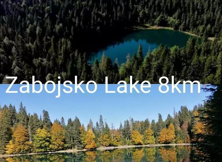پانسیون Apartmani Tara I Zabojsko Dobrilovina