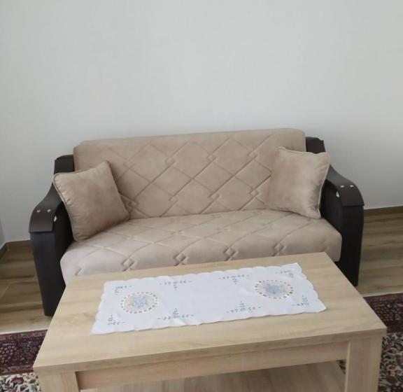 Pensjonat Apartmani Tara I Zabojsko Dobrilovina