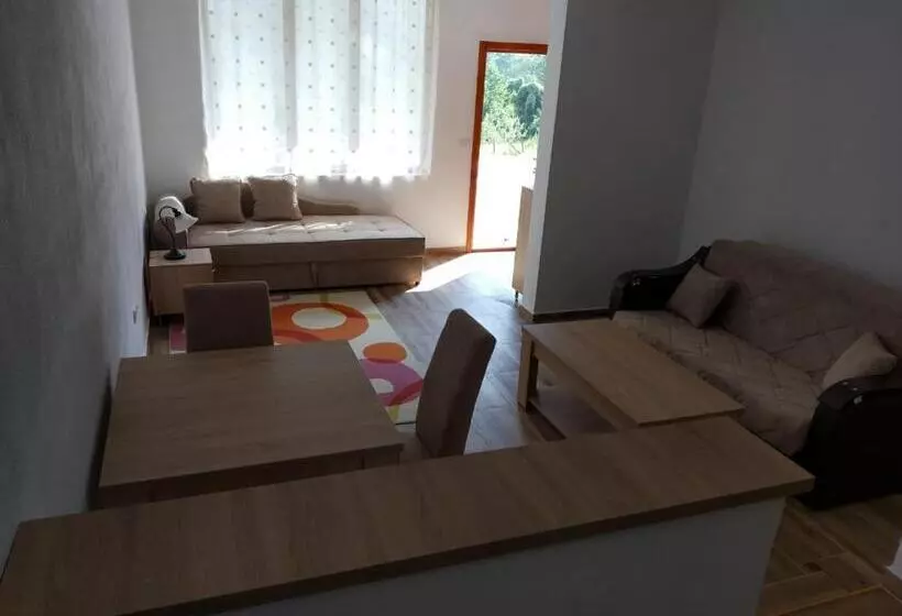 پانسیون Apartmani Tara I Zabojsko Dobrilovina
