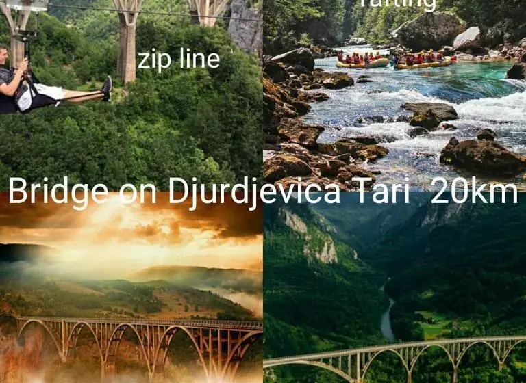 پانسیون Apartmani Tara I Zabojsko Dobrilovina