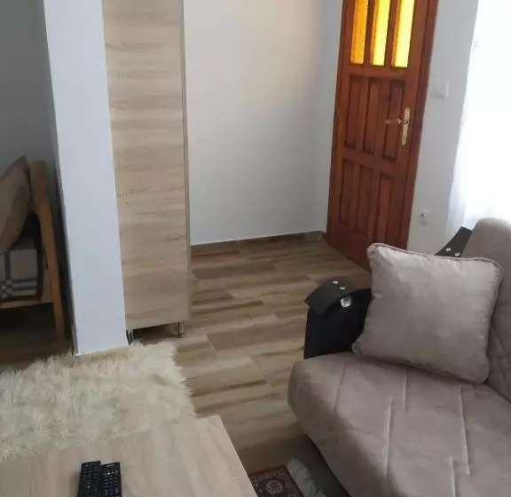 پانسیون Apartmani Tara I Zabojsko Dobrilovina