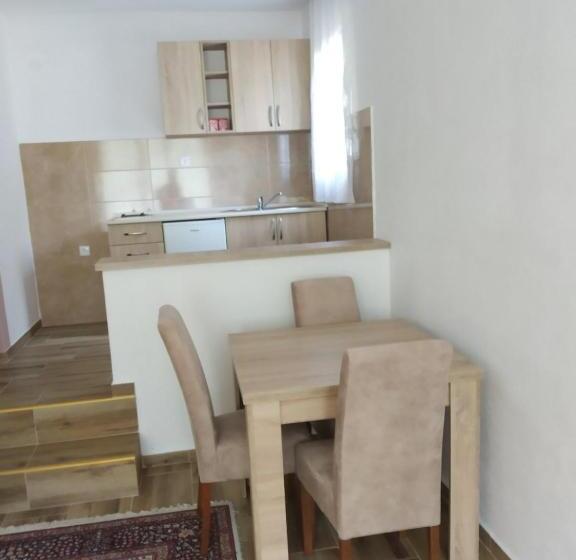 Pensjonat Apartmani Tara I Zabojsko Dobrilovina