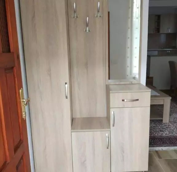 پانسیون Apartmani Tara I Zabojsko Dobrilovina