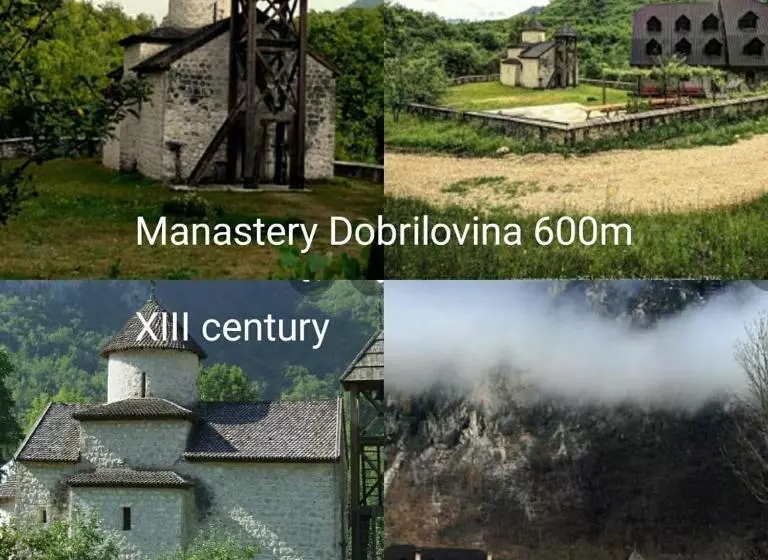 پانسیون Apartmani Tara I Zabojsko Dobrilovina
