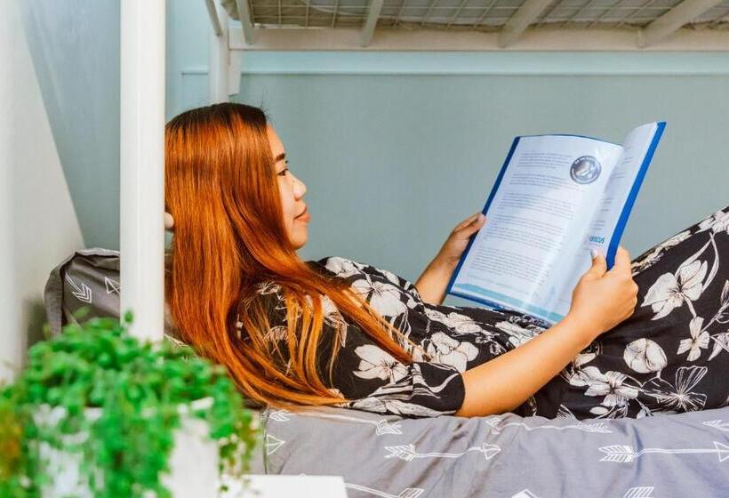 הוסטל Wanderlust Nz